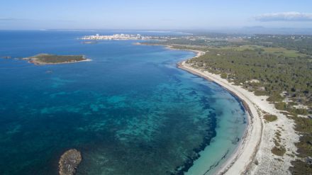 Una isla de secretos singulares: Cinco curiosidades que quizá no conocías de Mallorca