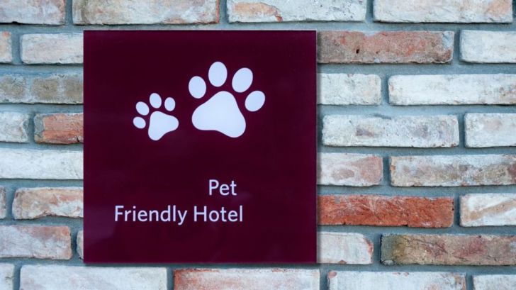 Viajar con mascotas: Alojamientos pet-friendly en auge