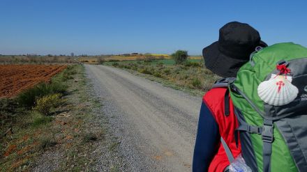 El Camino de Santiago francés de Galicia pueblo por pueblo