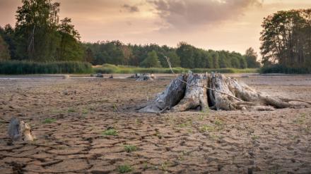 Aumento de la aridez climática en España en los últimos 60 años