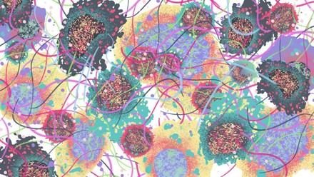 Identifican cómo los carcinomas orales eluden el sistema inmunitario